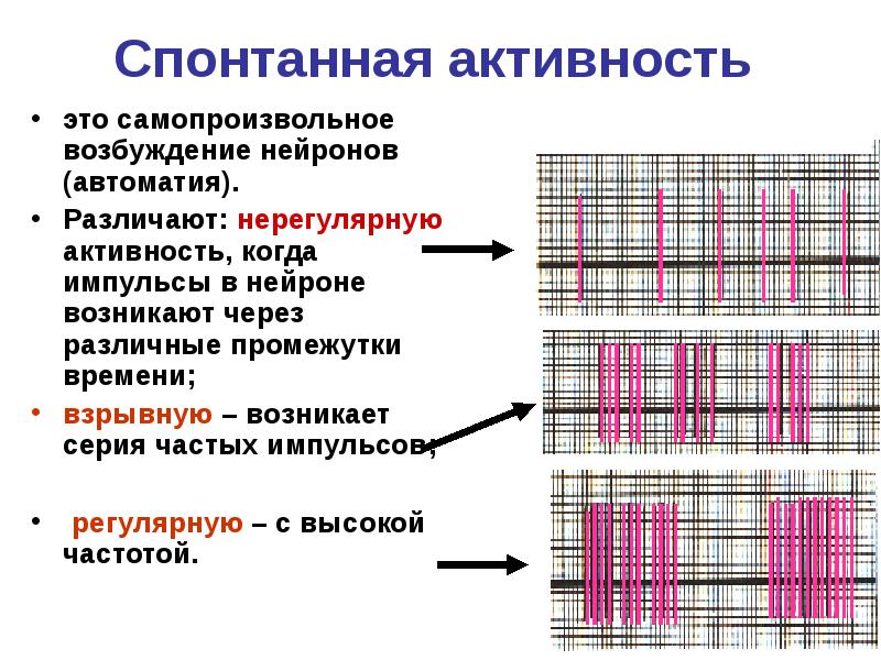 Различают активность и активность. Активность нейронов. Спонтанная активность нейронов. Спонтанная мышечная активность. Спонтанная активность на ЭНМГ.