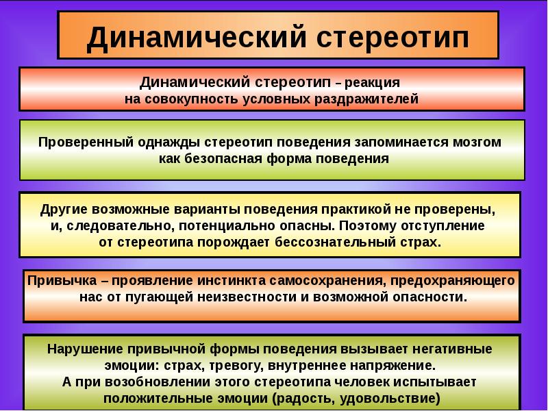 Делаются ли при формировании нового динамического стереотипа. Динвмически йстериотип. Динамический стереотип. Понятие о динамическом стереотипе. Динамический стереотип физиология.