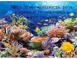 РИБИ. РІЗНОМ. ТА РОЛЬ У ПРИРОДІ
