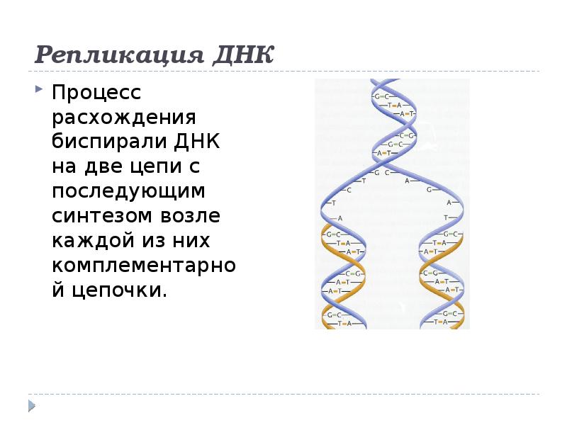 Процесс расхождения