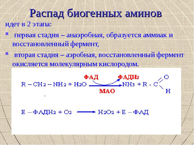 Декарбоксилирование аминокислот презентация