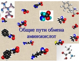 Общие пути обмена аминокислот