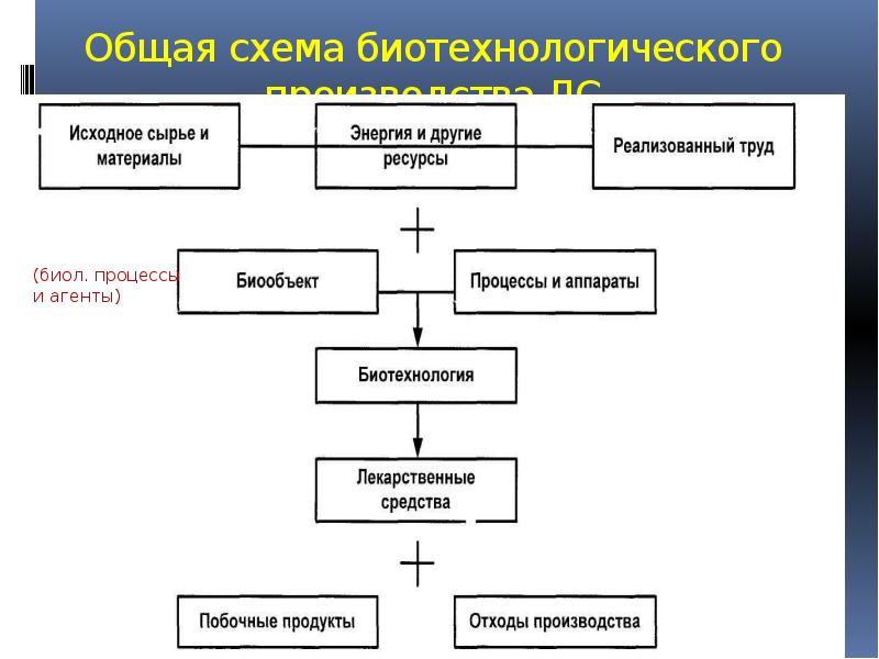 Технологическая схема биотехнологического производства