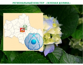 РК Зеленая долина-1 сценарий-2 вар
