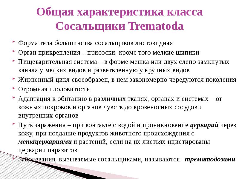 Медицинская гельминтология презентация