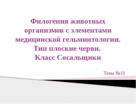 Филогения животных организмов с элементами медицинской гельминтологии. Тип плоские черви. Класс Сосальщики
