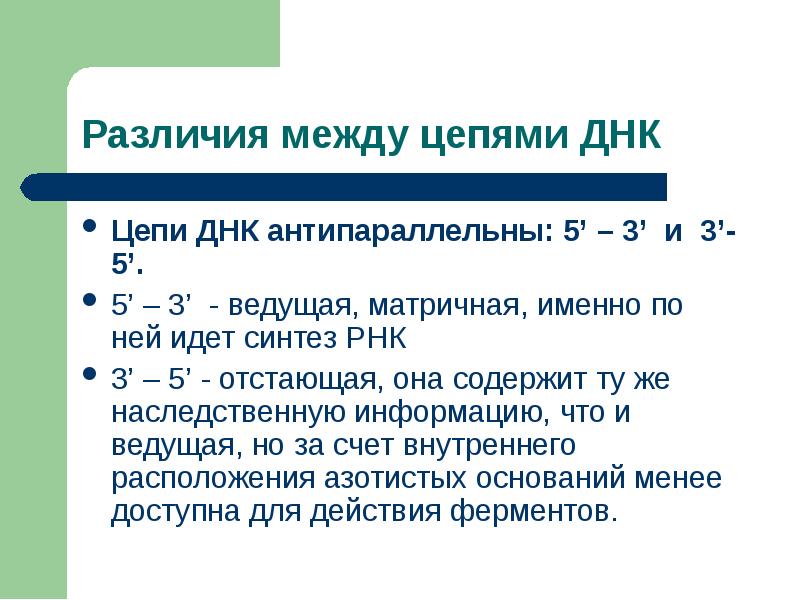 Днк антипараллельны