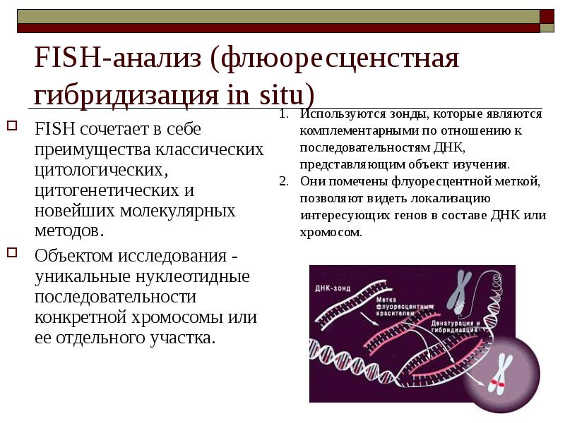 Молекулярный анализ. Fish метод современный метод молекулярной цитогенетики. Fish метод диагностики генетика. Молекулярно-цитогенетический метод (Fish-диагностика). Fish это в генетике.