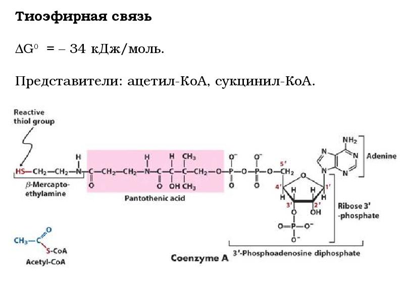 Макроэргические соединения. Макроэргические соединения биохимия таблица. Метионин тиоэфирная группа. Макроэргические связи биохимия. Макроэргические соединения формулы.