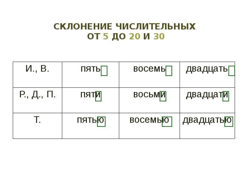 5 числительных