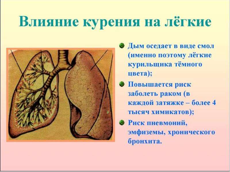 История табака презентация