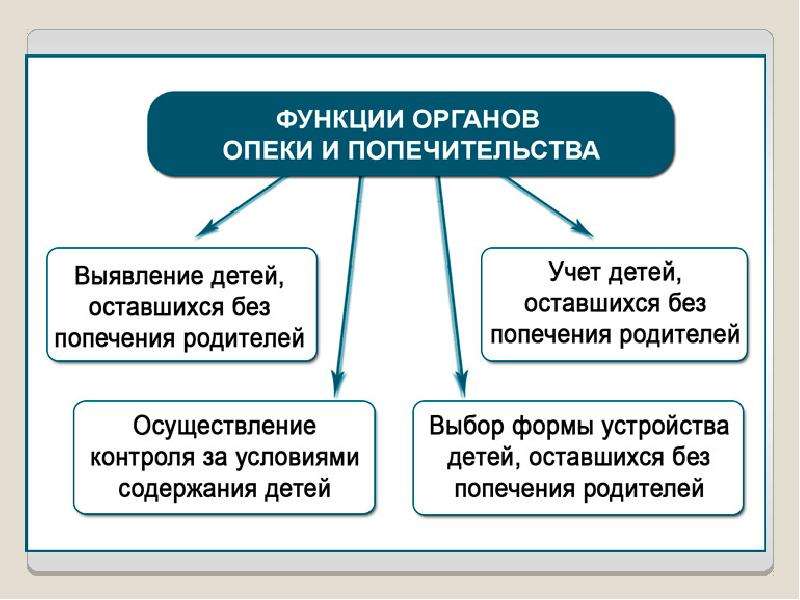 Опека и попечительство колпино телефоны и режим работы