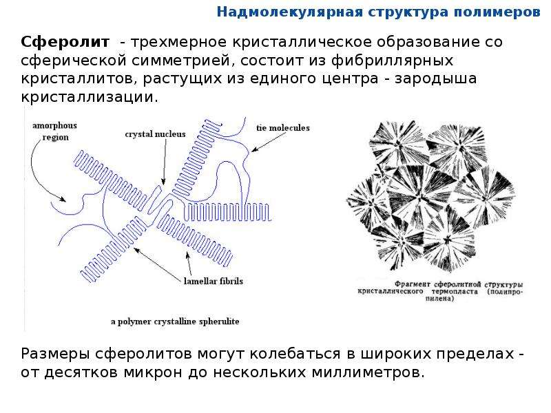 Структура полимеров схема