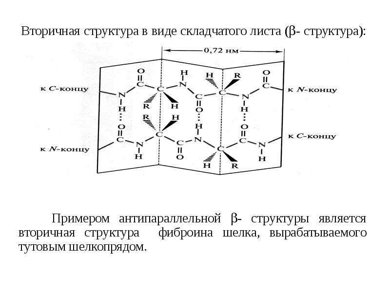 Вторичная структура в виде складчатого листа (- структура): Вторичная структура в виде складчатого