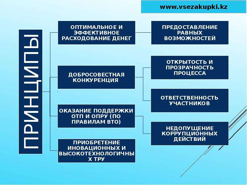 Государственные закупки казахстан. Госзакупки схема. Организация государственных закупок в Казахстане. Закон о государственных закупках. Казахстан закупочная система.