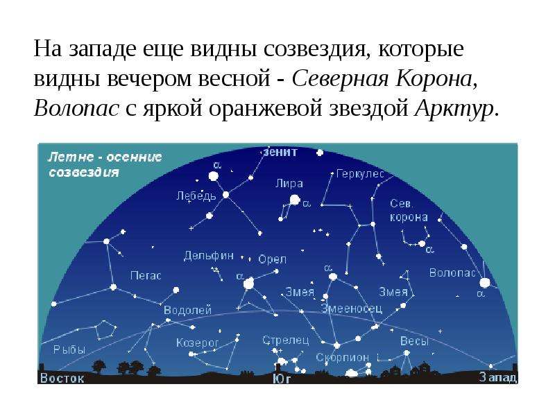 Презентация по астрономии созвездия звездного неба