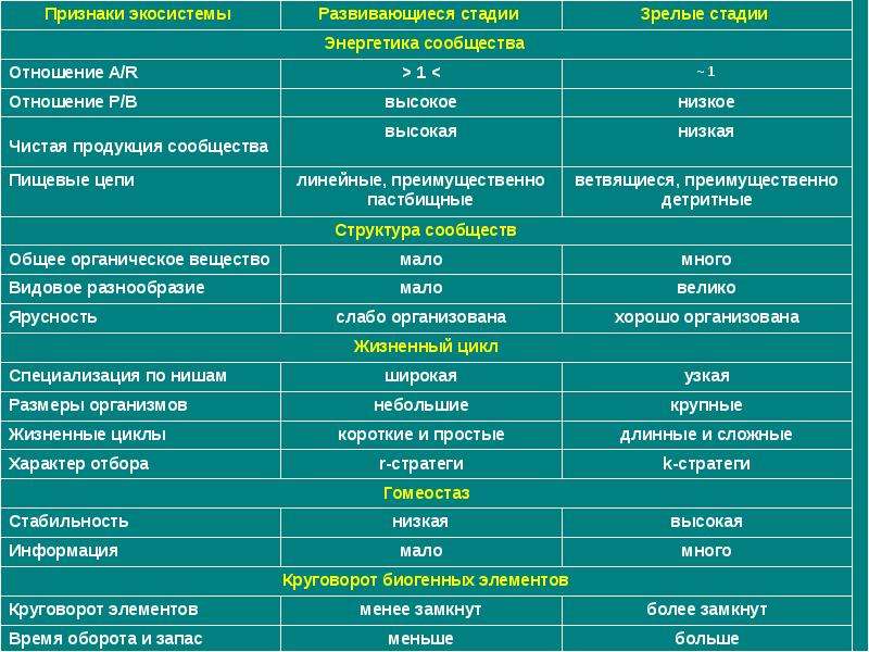 Устойчивость и динамика экосистем презентация 11 класс