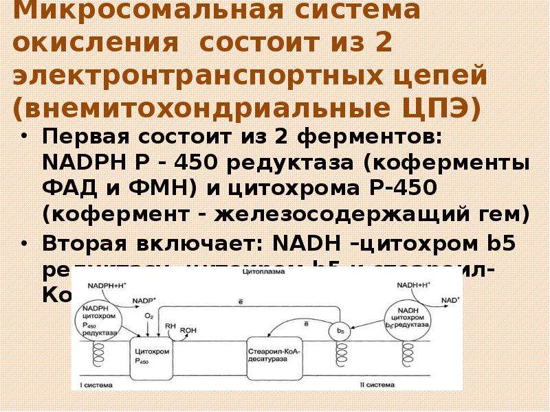 Схема процесса микросомального окисления