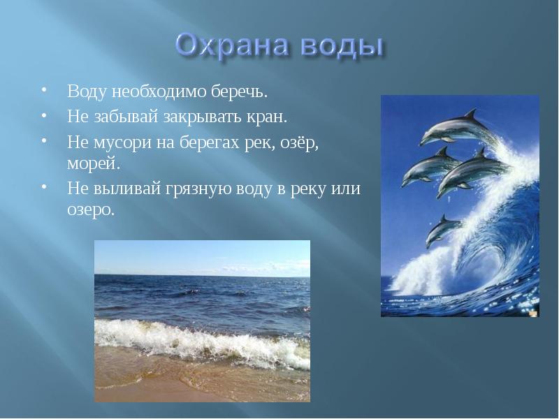 Охрана водных животных