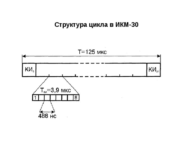 Структура цикла