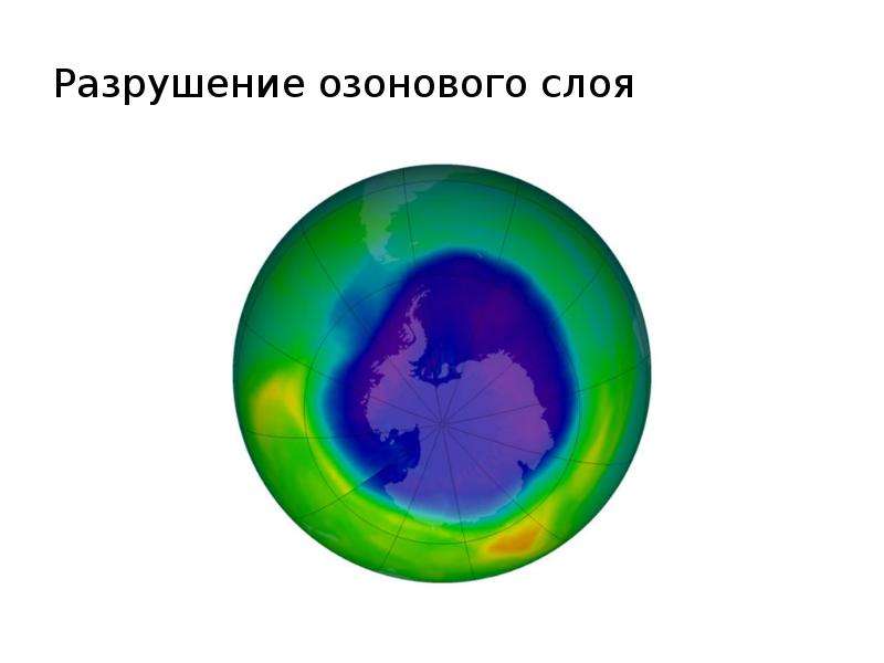 Жизнь до появления озонового слоя