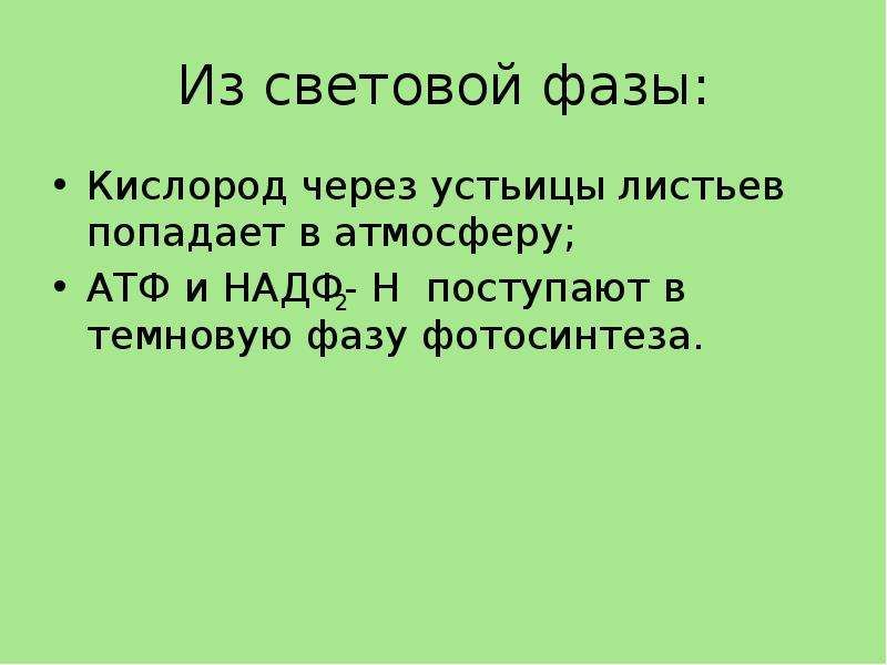 Сочинение Про Урок Биология В Научном Стиле