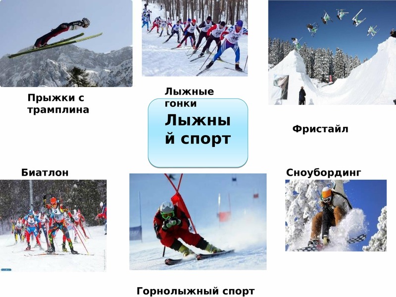 Какие виды спорта относятся к лыжному спорту. Виды лыжного спорта. Горнолыжный спорт биатлон фристайл прыжки с трамплина. Лыжный спорт название. Вид спорта связанный с лыжами.