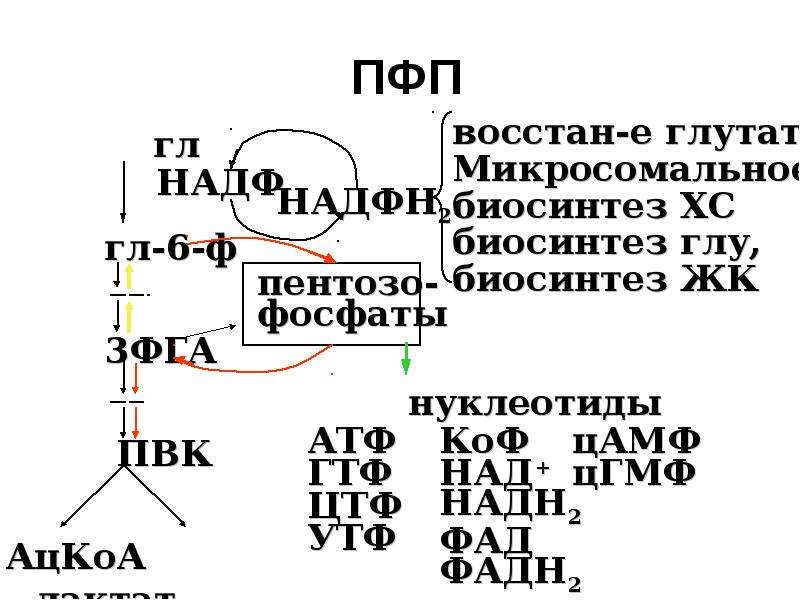 Пфп с схема