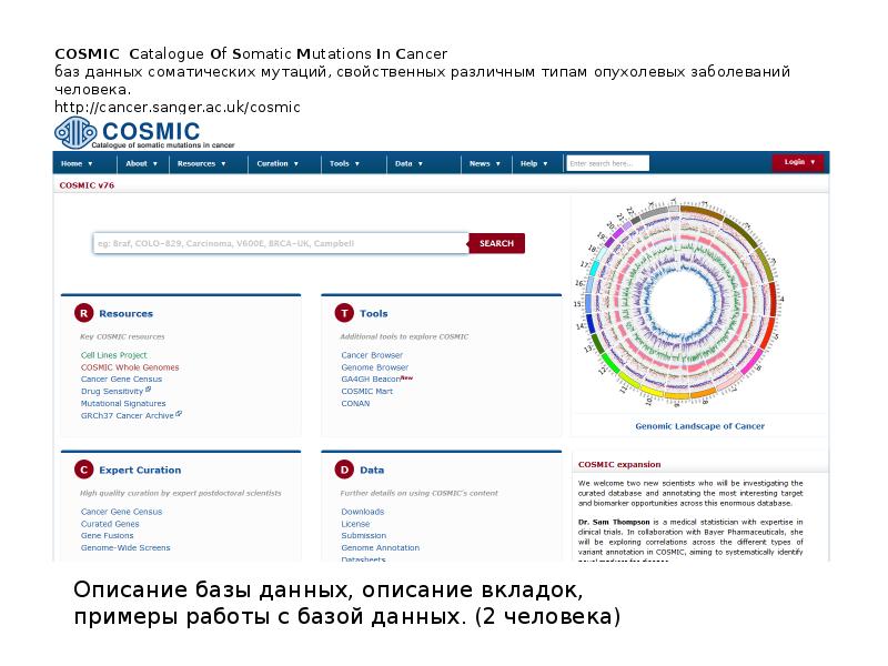 COSMIC Catalogue Of Somatic Mutations In Cancer баз данных соматических мутаций, свойственных различ