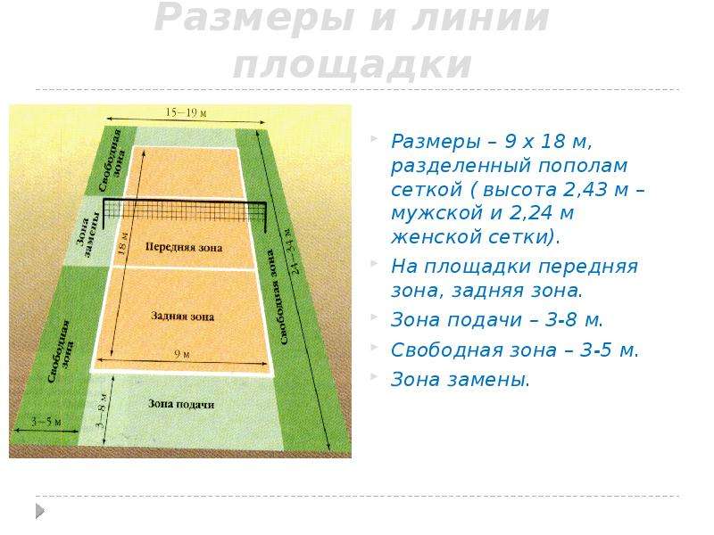 Высота волейбольной сетки