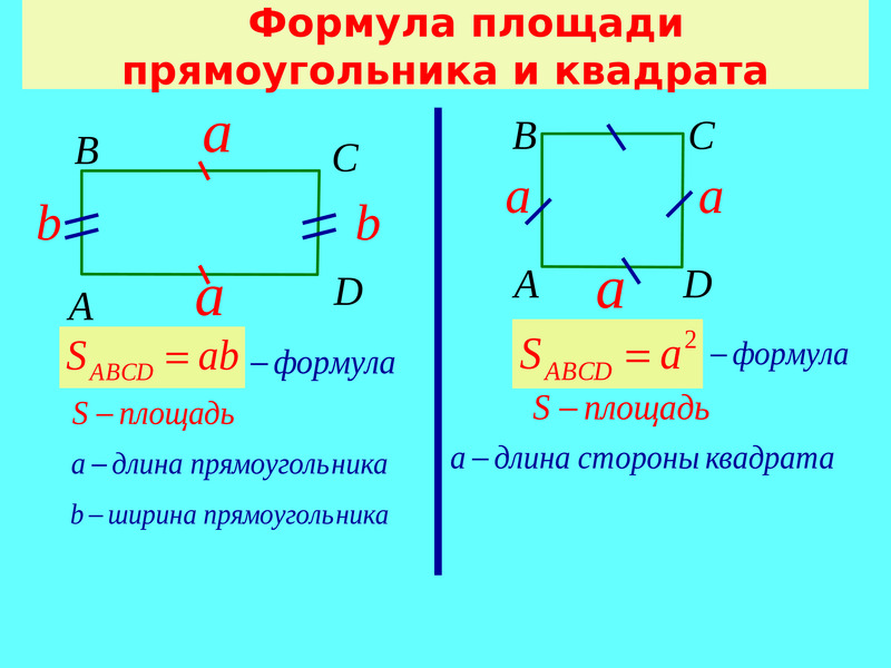 Площадь прямоугольника чертеж и формула