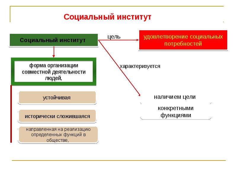 Института социальной защиты. Социальные институты и организации. Социальный институт и социальная организация. Социальный институт власти. Теории социальных институтов.