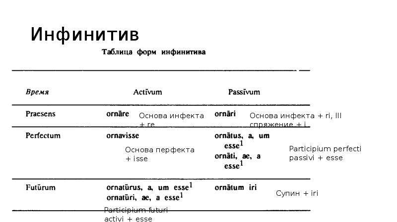 Тетрадь по латинскому языку. Формы инфинитива латынь. Форма инфинитива в латинском языке. Infinitivus латынь. Инфинитив в латыни.