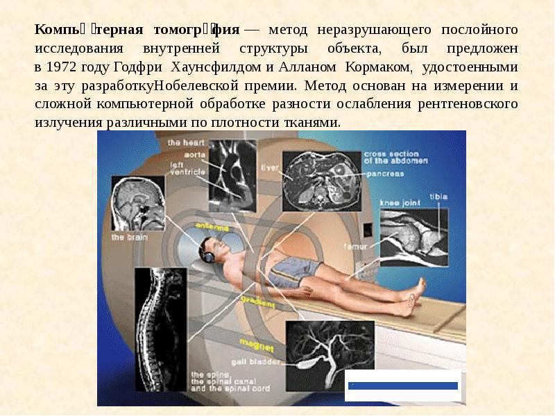 Анатомия и физиология, как науки, слайд №20