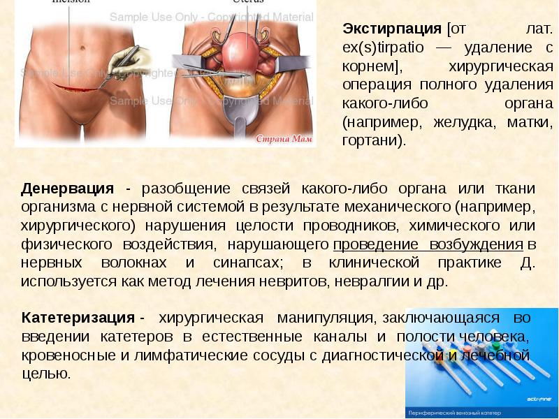 Анатомия и физиология, как науки, слайд №23