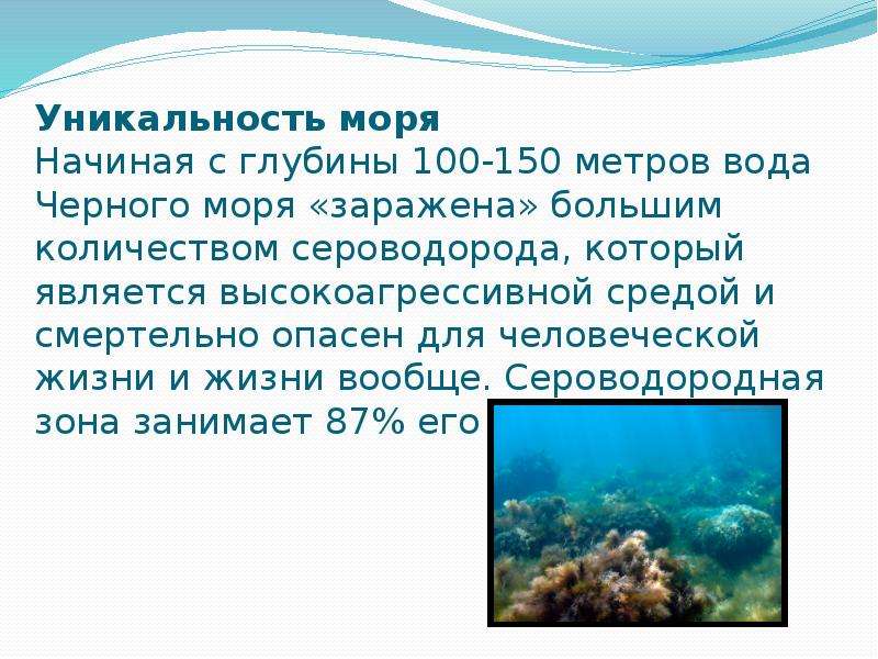 Черное море сероводород на глубине. Уникальность черного моря. Сероводородная зона черного моря. Объем воды в черном море. Свойства вод черного моря.