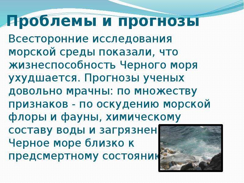 Проблемы черного моря. Экологические проблемы черного моря. Ресурсы и экологические проблемы черного моря. Прогнозы на проблемы черного моря. Экологические проблемы черного моря 4 класс.