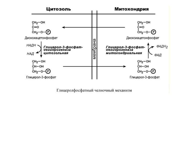  Foto 33