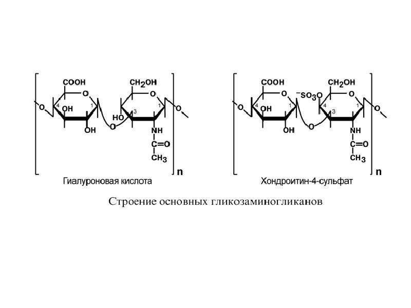 Гиалуроновая кислота схема. Строение основных гликозаминогликанов. Строение и функции гликозаминогликанов. Гиалуроновая кислота формула биохимия. Гликозаминогликаны биохимия строение.