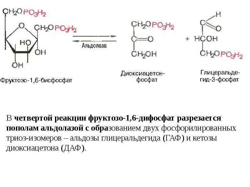 Основы производства диаммонийфосфата - Химэкс