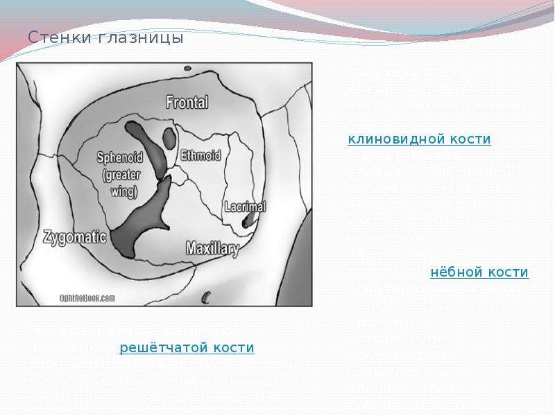 Флегмона карта смп