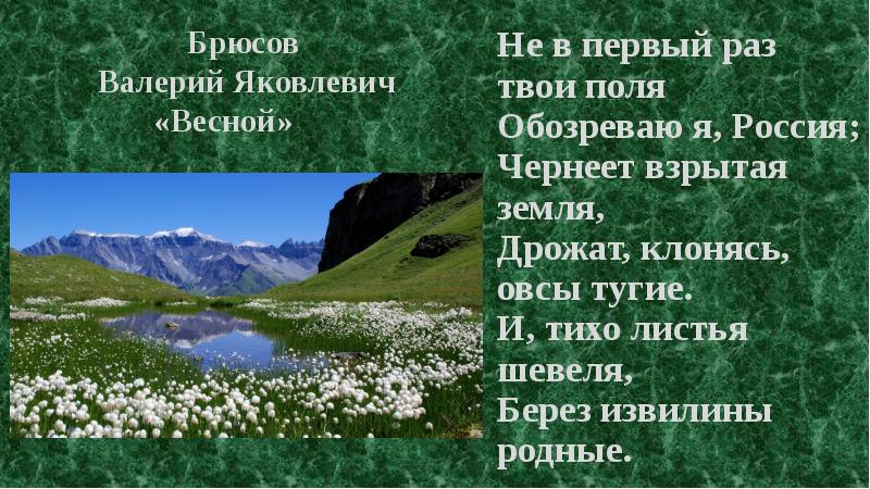 Раз твои. Не первый раз твои поля обозреваю я Россия. Стихи Брюсова о весне.