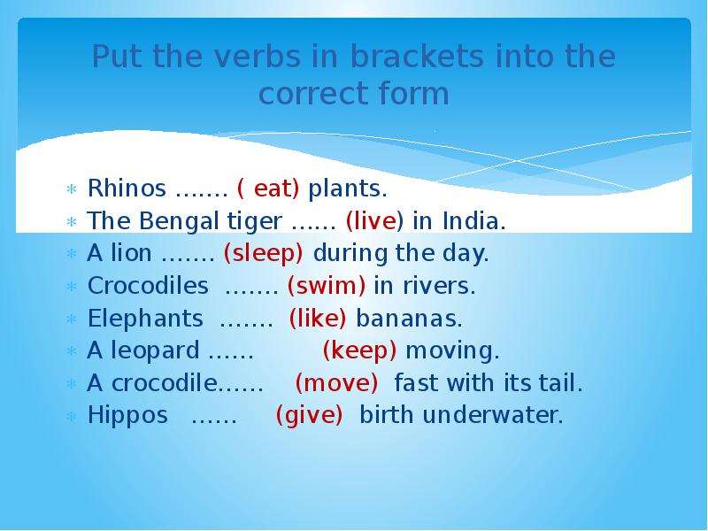A lion sleep during the day. Put the Verbsin breckets into the Cortect form. Put the verbs in Brackets into the correct form. Rhinos eat Plants. Rhinos eat Plants present simple.