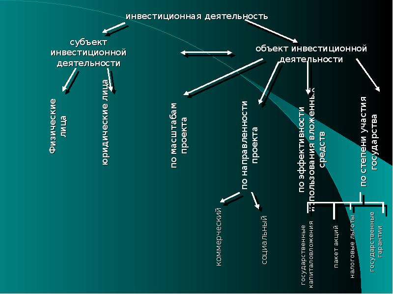 Роль развития производства. Государственные гарантии субъектам инвестиционной деятельности..