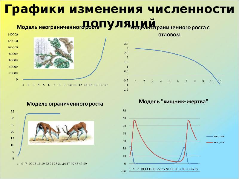 Презентация биологическое разнообразие как основное условие устойчивости популяций