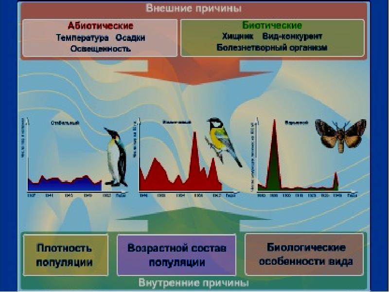 Динамика популяции презентация