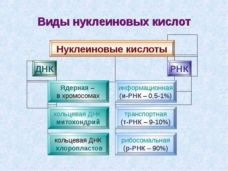 Картинки на тему химический состав клетки