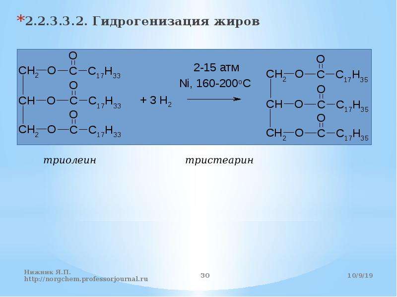  Foto 31