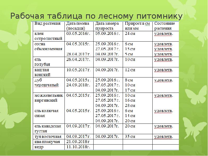 Прайс лист питомника. Структура лесного питомника. План питомника растений. План питомника лесных культур. Виды работ в питомнике растений.