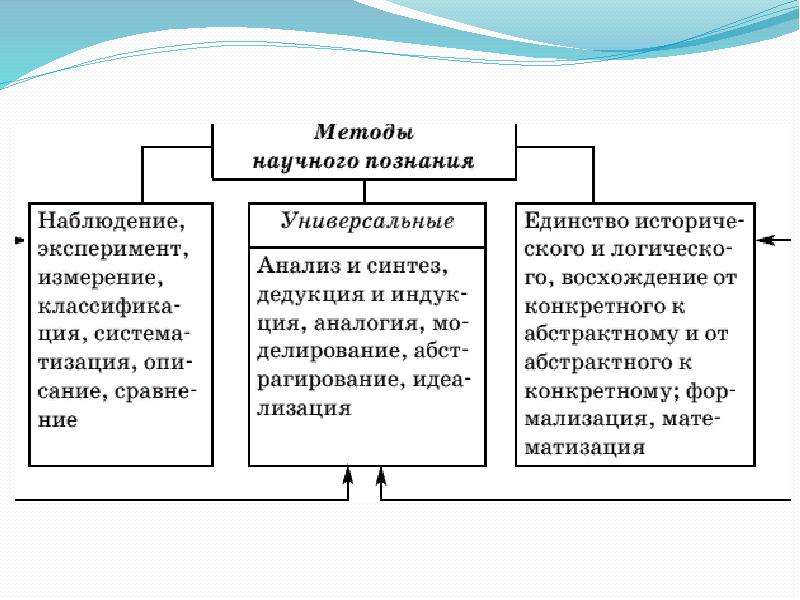 Естественные и социально гуманитарные науки